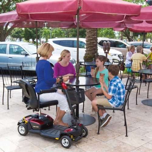Paseo Scooter Eléctrico Desmontable GoGo LX