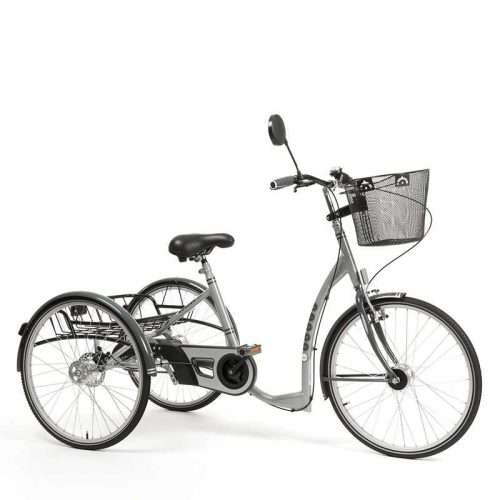 Triciclo Manual Lagoon Gris