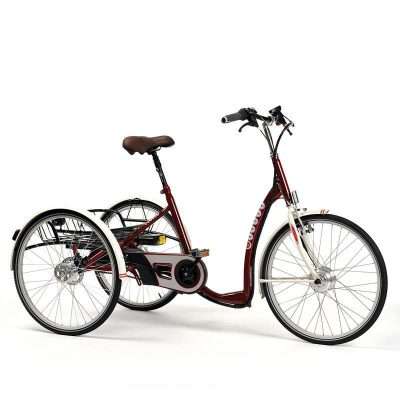 Triciclo eléctrico para adultos con tres ruedas y cuadro bajo