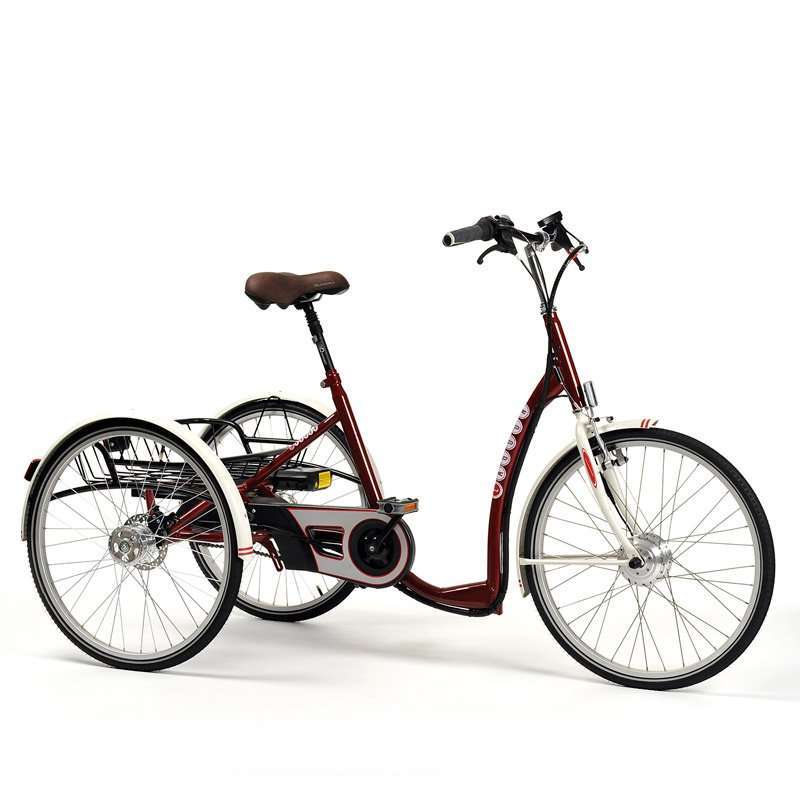 Triciclo eléctrico para adultos con tres ruedas y cuadro bajo