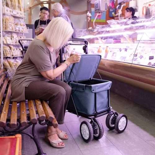 Andador rollator Comfort Assist - Imagen 9