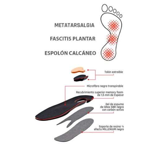 Características y capas de las plantillas Smou Complet